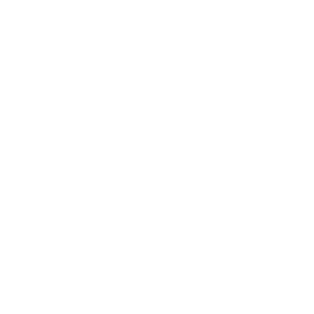 MaxReims_Website_icons_EG01-02