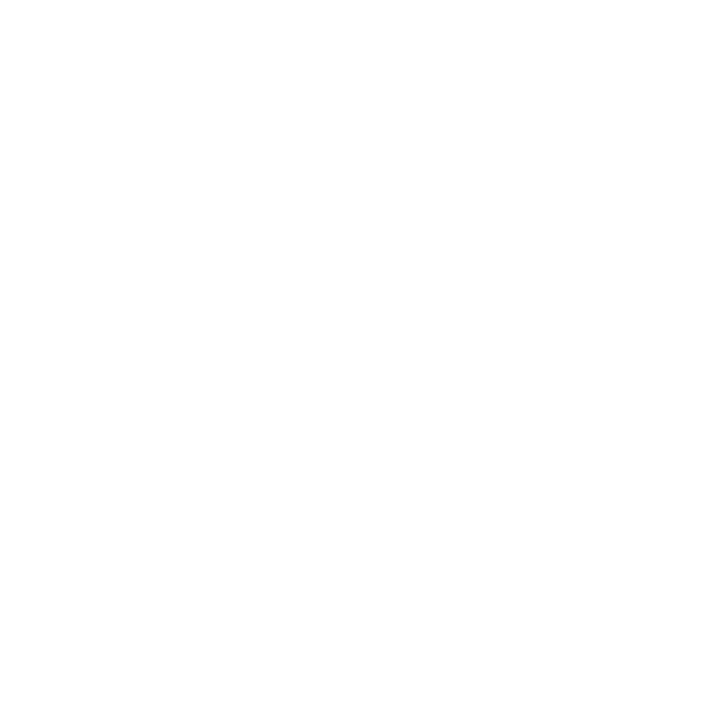 MaxReims_Website_icons_EG01-04